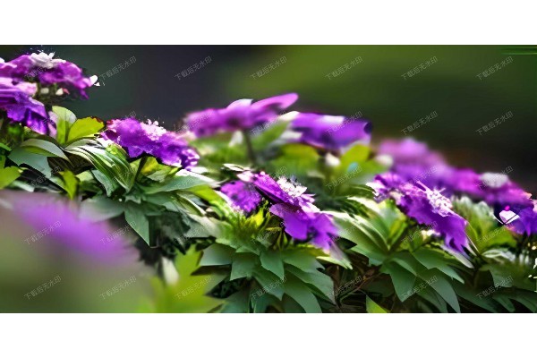 武汉椎间盘突出，专业按摩缓解疼痛有妙招